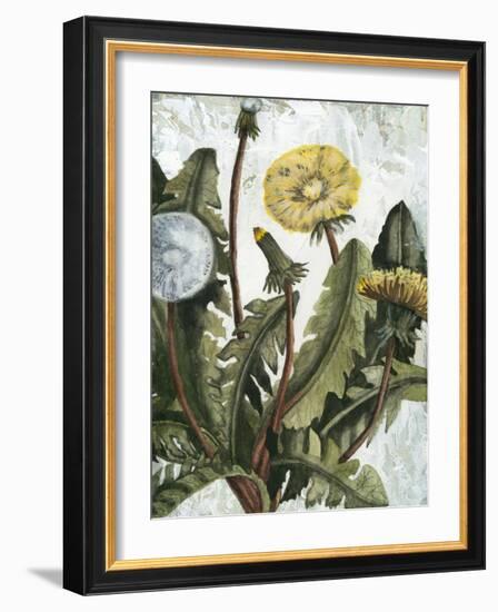 Dandelion Patina I-Naomi McCavitt-Framed Art Print