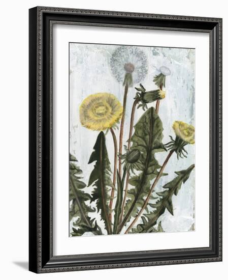 Dandelion Patina II-Naomi McCavitt-Framed Art Print