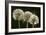 Dandelion Seed-Heads ("Clocks')-null-Framed Photographic Print