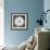 Dandelion Seedhead-Alan Majchrowicz-Framed Premium Giclee Print displayed on a wall
