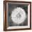 Dandelion Seedhead-Alan Majchrowicz-Framed Art Print