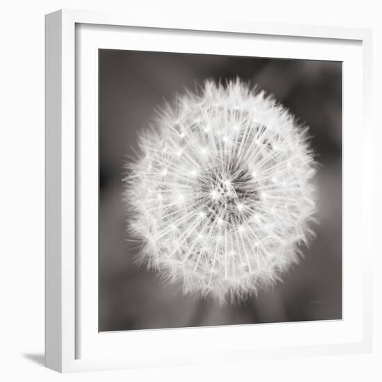 Dandelion Seedhead-Alan Majchrowicz-Framed Art Print