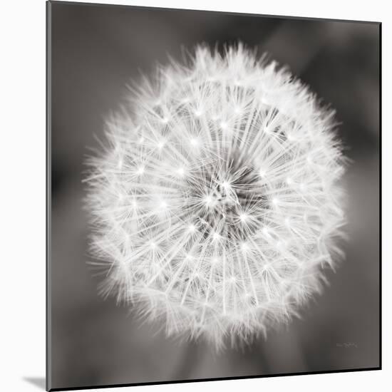 Dandelion Seedhead-Alan Majchrowicz-Mounted Art Print