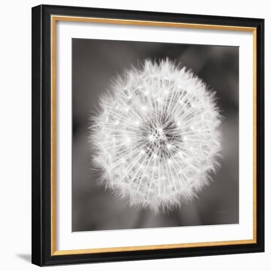 Dandelion Seedhead-Alan Majchrowicz-Framed Art Print