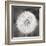 Dandelion Seedhead-Alan Majchrowicz-Framed Art Print