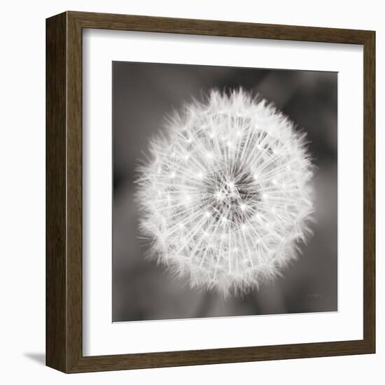 Dandelion Seedhead-Alan Majchrowicz-Framed Art Print