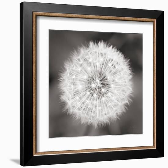 Dandelion Seedhead-Alan Majchrowicz-Framed Art Print