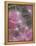 Dandelion Seeds, Pennsylvania, USA-Nancy Rotenberg-Framed Premier Image Canvas