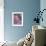 Dandelion Seeds, Pennsylvania, USA-Nancy Rotenberg-Framed Photographic Print displayed on a wall