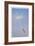 Dandelion Seeds-Donald Paulson-Framed Giclee Print