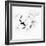 Dandelion Spores on White-Robert Cattan-Framed Photographic Print