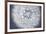 Dandelion Still-Andreas Stridsberg-Framed Giclee Print