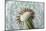 Dandelion (Taraxacum Officinale) Seed Head, Close, Norfolk, England, UK, May-Ernie Janes-Mounted Photographic Print