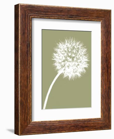 Dandelion Tilt (khaki)-Jenny Kraft-Framed Art Print