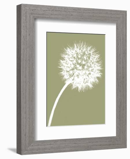 Dandelion Tilt (khaki)-Jenny Kraft-Framed Art Print