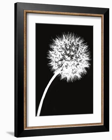 Dandelion Tilt-Jenny Kraft-Framed Giclee Print