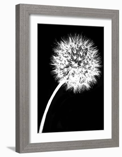 Dandelion Tilt-Jenny Kraft-Framed Art Print