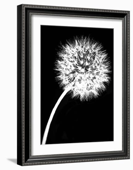 Dandelion Tilt-Jenny Kraft-Framed Art Print