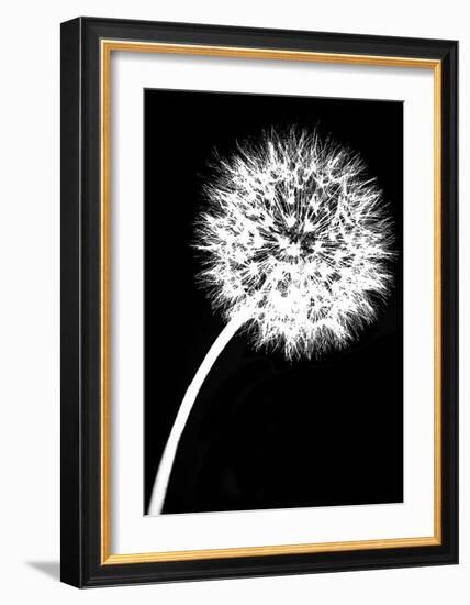 Dandelion Tilt-Jenny Kraft-Framed Art Print