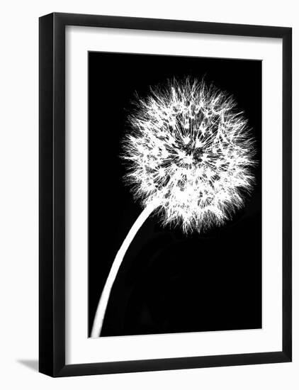 Dandelion Tilt-Jenny Kraft-Framed Art Print