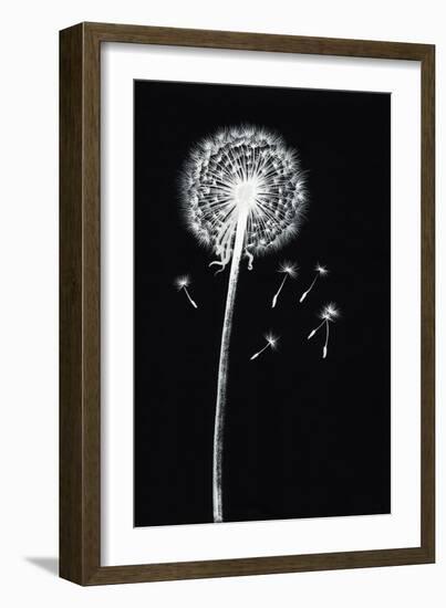 Dandelion Watercolor Painted Image-Surovtseva-Framed Art Print