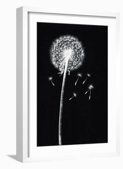 Dandelion Watercolor Painted Image-Surovtseva-Framed Art Print