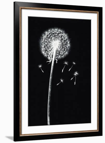 Dandelion Watercolor Painted Image-Surovtseva-Framed Art Print