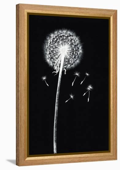 Dandelion Watercolor Painted Image-Surovtseva-Framed Stretched Canvas