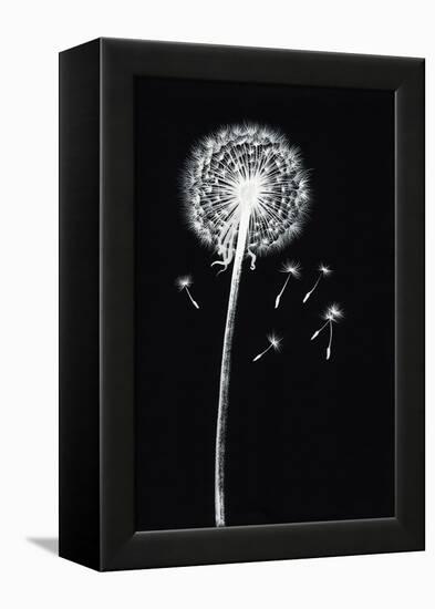 Dandelion Watercolor Painted Image-Surovtseva-Framed Stretched Canvas