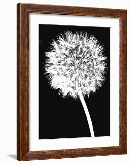 Dandelion-Jenny Kraft-Framed Giclee Print