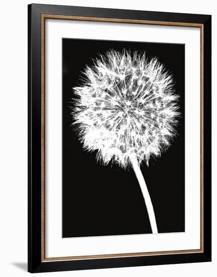 Dandelion-Jenny Kraft-Framed Giclee Print