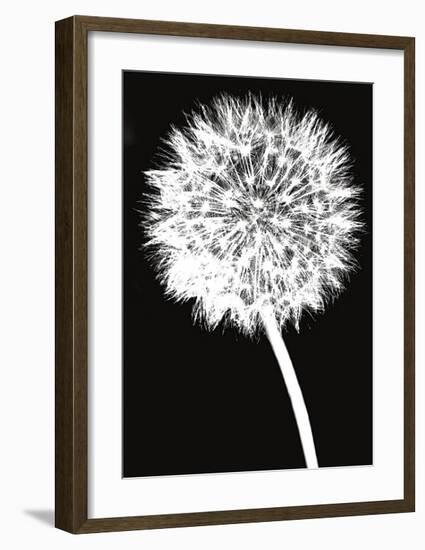 Dandelion-Jenny Kraft-Framed Giclee Print