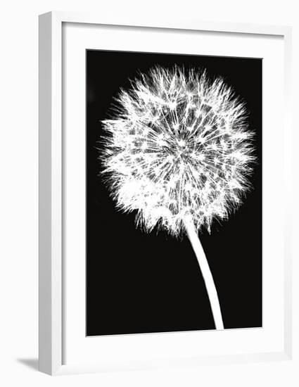 Dandelion-Jenny Kraft-Framed Giclee Print