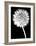 Dandelion-Jenny Kraft-Framed Art Print