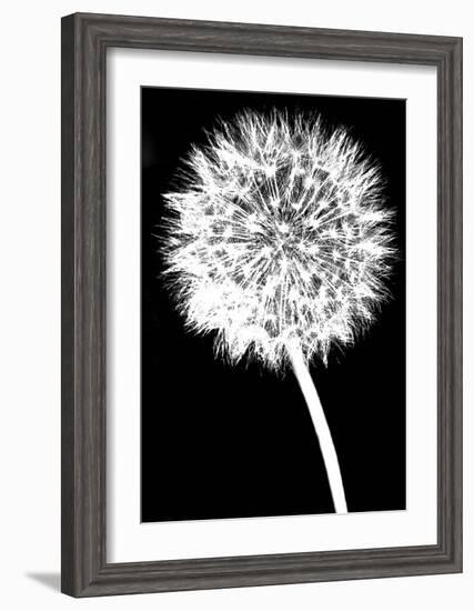 Dandelion-Jenny Kraft-Framed Art Print