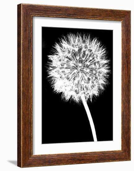 Dandelion-Jenny Kraft-Framed Art Print