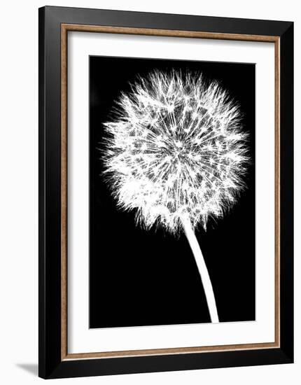 Dandelion-Jenny Kraft-Framed Art Print