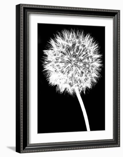 Dandelion-Jenny Kraft-Framed Art Print