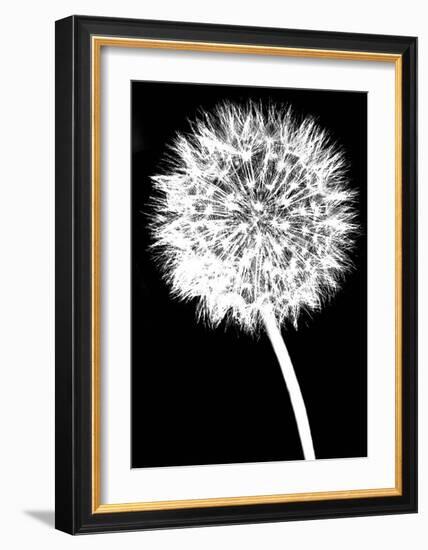 Dandelion-Jenny Kraft-Framed Art Print