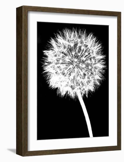 Dandelion-Jenny Kraft-Framed Art Print