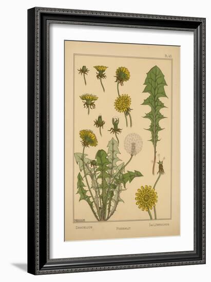 Dandelion-null-Framed Giclee Print