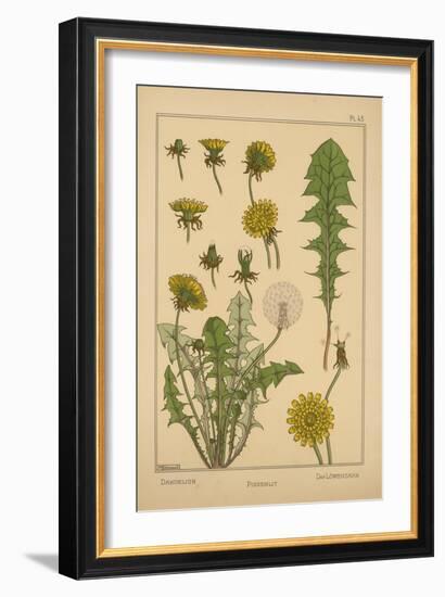 Dandelion-null-Framed Giclee Print