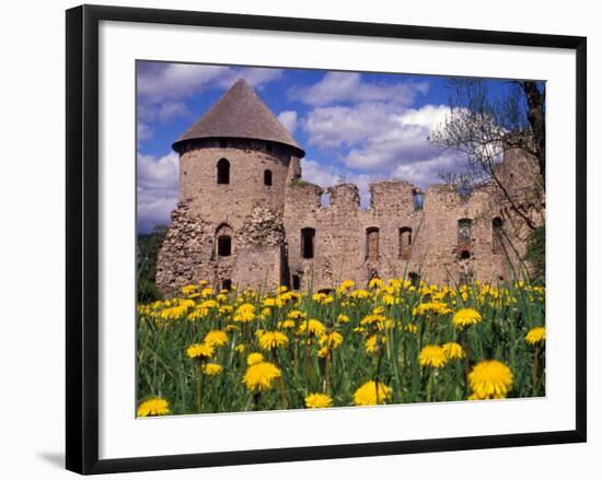 Dandelions Surround Cesis Castle, Latvia-Janis Miglavs-Framed Photographic Print