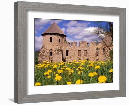 Dandelions Surround Cesis Castle, Latvia-Janis Miglavs-Framed Photographic Print