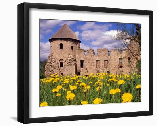 Dandelions Surround Cesis Castle, Latvia-Janis Miglavs-Framed Photographic Print