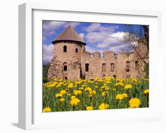 Dandelions Surround Cesis Castle, Latvia-Janis Miglavs-Framed Photographic Print