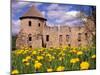 Dandelions Surround Cesis Castle, Latvia-Janis Miglavs-Mounted Photographic Print
