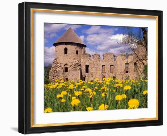 Dandelions Surround Cesis Castle, Latvia-Janis Miglavs-Framed Photographic Print