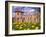 Dandelions Surround Cesis Castle, Latvia-Janis Miglavs-Framed Photographic Print