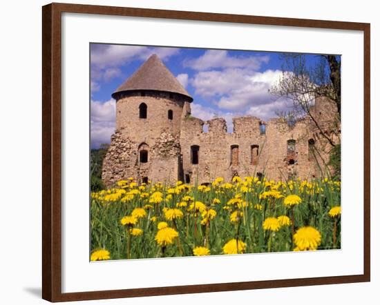 Dandelions Surround Cesis Castle, Latvia-Janis Miglavs-Framed Photographic Print